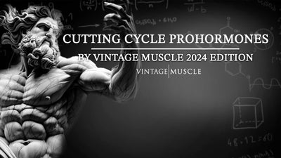 Cutting Cycle ProHormones by Vintage Muscle 2024 Edition