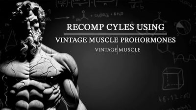 Recomp Cycles using Vintage Muscle ProHormones 2024