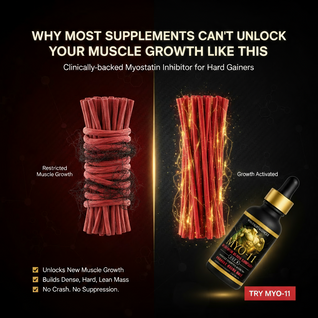 Myostatin Inhibitor Muscle Builder - MYO-11
