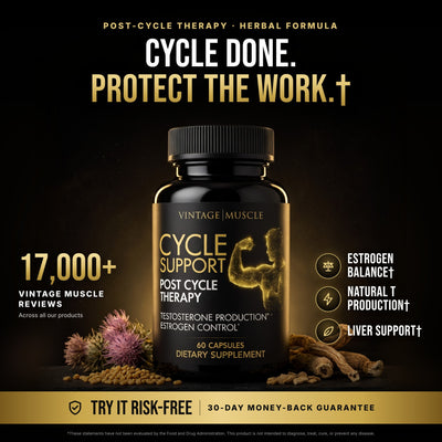 Vintage Muscle Cycle Support capsule bottle on dark slate. Cycle done. Protect the work. 30-day money-back guarantee.
